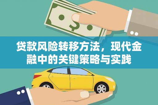 兴平贷款风险转移方法，现代金融中的关键策略与实践