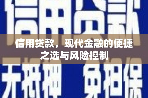 兴平信用贷款，现代金融的便捷之选与风险控制