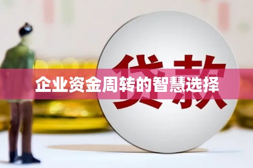 兴平企业资金周转的智慧选择