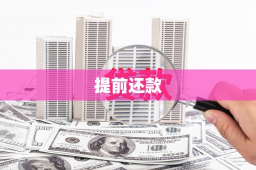 兴平提前还款