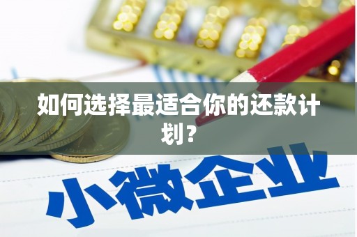 兴平如何选择最适合你的还款计划？