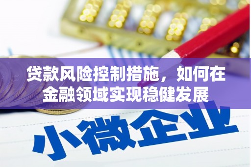 兴平贷款风险控制措施，如何在金融领域实现稳健发展