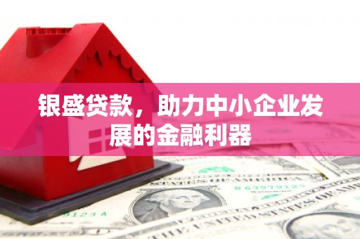 兴平银盛贷款，助力中小企业发展的金融利器