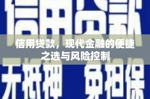 兴平信用贷款，现代金融的便捷之选与风险控制