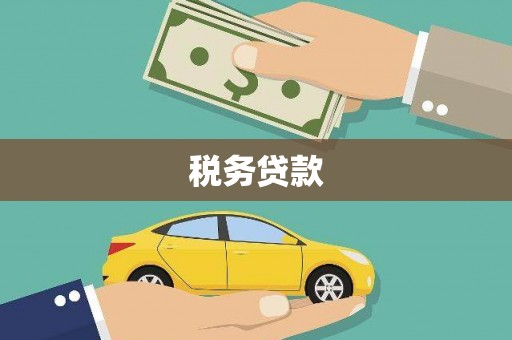 兴平税务贷款