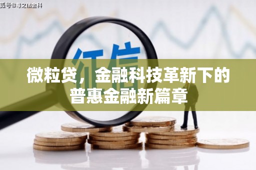 兴平微粒贷，金融科技革新下的普惠金融新篇章
