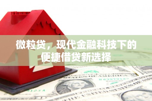 兴平微粒贷，现代金融科技下的便捷借贷新选择