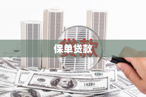 兴平保单贷款