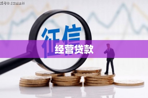 兴平经营贷款
