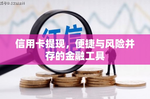 兴平信用卡提现，便捷与风险并存的金融工具