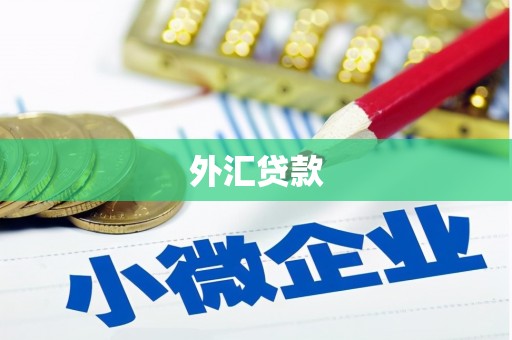 兴平外汇贷款