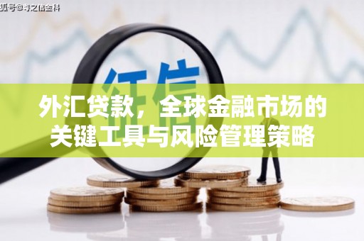 兴平外汇贷款，全球金融市场的关键工具与风险管理策略