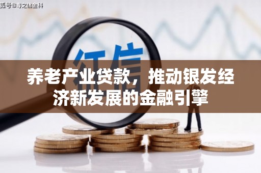 兴平养老产业贷款，推动银发经济新发展的金融引擎