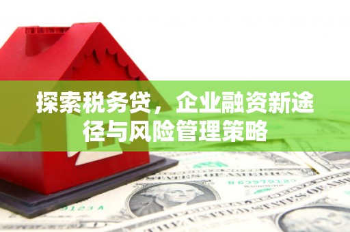 兴平探索税务贷，企业融资新途径与风险管理策略