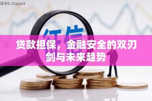 兴平贷款担保，金融安全的双刃剑与未来趋势