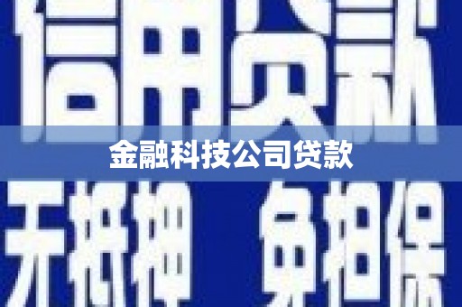 兴平金融科技公司贷款