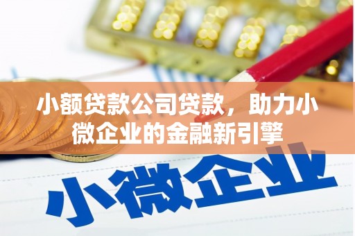 兴平小额贷款公司贷款，助力小微企业的金融新引擎