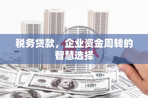 兴平税务贷款，企业资金周转的智慧选择