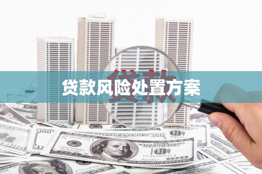兴平贷款风险处置方案