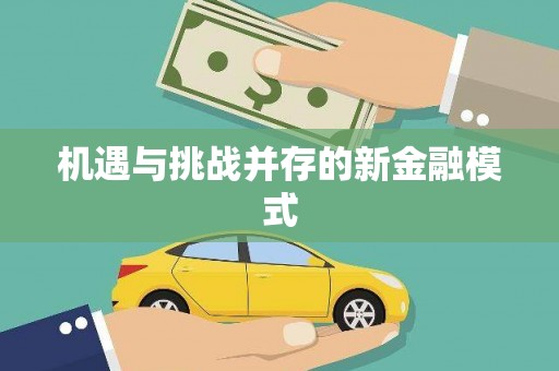 兴平机遇与挑战并存的新金融模式