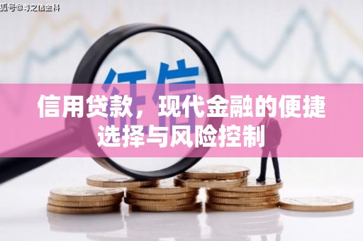 兴平信用贷款，现代金融的便捷选择与风险控制