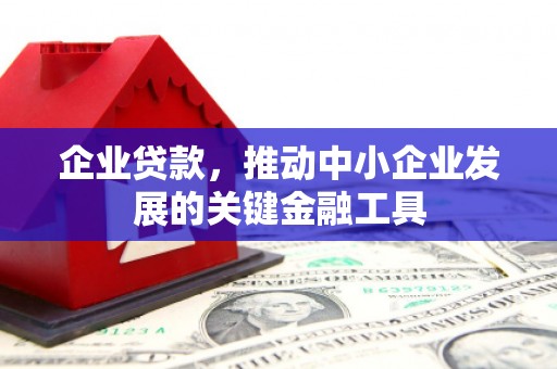 兴平企业贷款，推动中小企业发展的关键金融工具