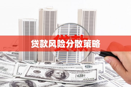 兴平贷款风险分散策略