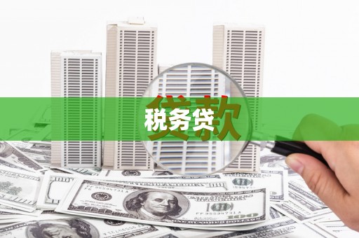 兴平税务贷