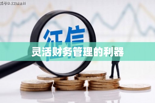 兴平灵活财务管理的利器