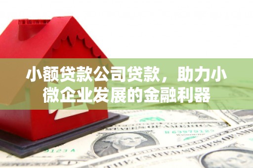 兴平小额贷款公司贷款，助力小微企业发展的金融利器