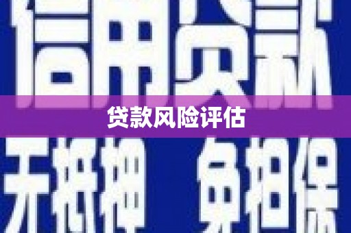 兴平贷款风险评估