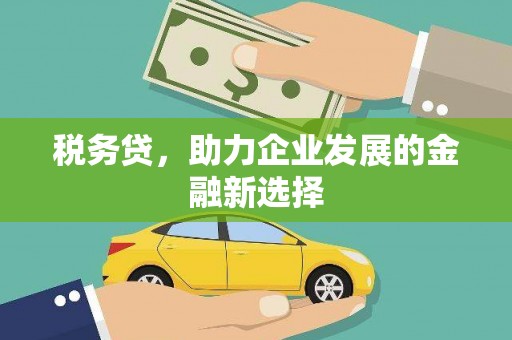 兴平税务贷，助力企业发展的金融新选择