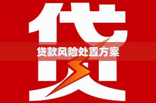 兴平贷款风险处置方案