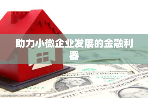 兴平助力小微企业发展的金融利器