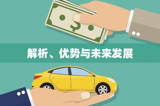 兴平解析、优势与未来发展