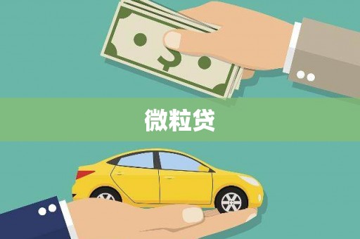 兴平微粒贷