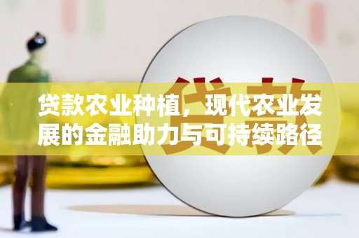 兴平贷款农业种植，现代农业发展的金融助力与可持续路径