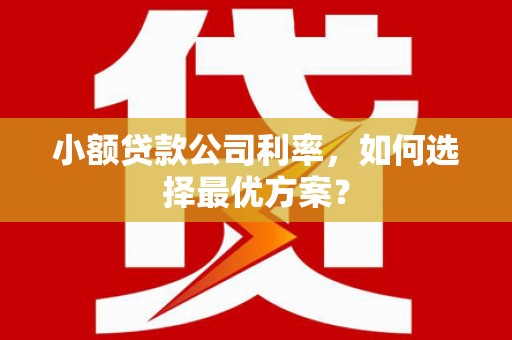 兴平小额贷款公司利率，如何选择最优方案？