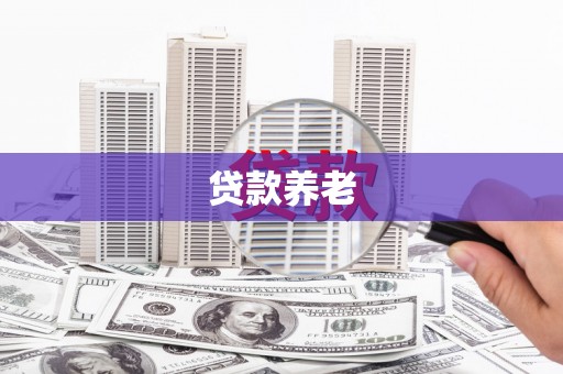兴平贷款养老