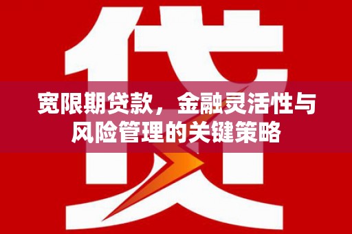 兴平宽限期贷款，金融灵活性与风险管理的关键策略