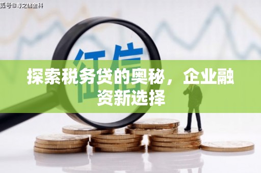 兴平探索税务贷的奥秘，企业融资新选择