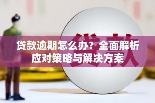 兴平贷款逾期怎么办？全面解析应对策略与解决方案