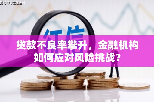 兴平贷款不良率攀升，金融机构如何应对风险挑战？