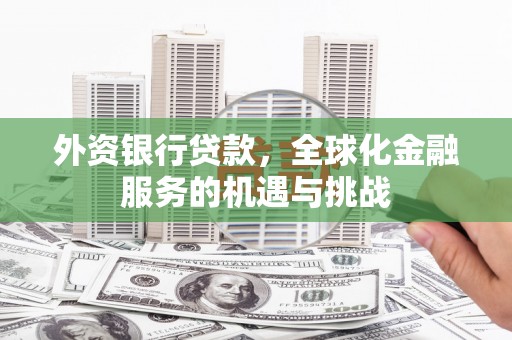 兴平外资银行贷款，全球化金融服务的机遇与挑战