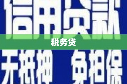 兴平税务贷