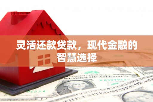 兴平灵活还款贷款，现代金融的智慧选择