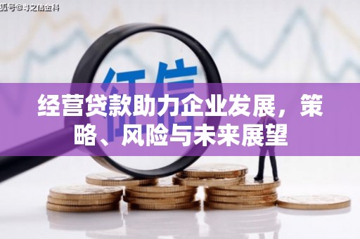兴平经营贷款助力企业发展，策略、风险与未来展望