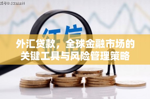 兴平外汇贷款，全球金融市场的关键工具与风险管理策略