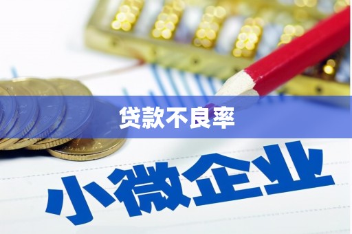 兴平贷款不良率