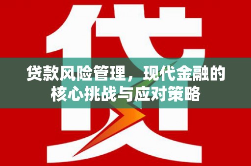 兴平贷款风险管理，现代金融的核心挑战与应对策略